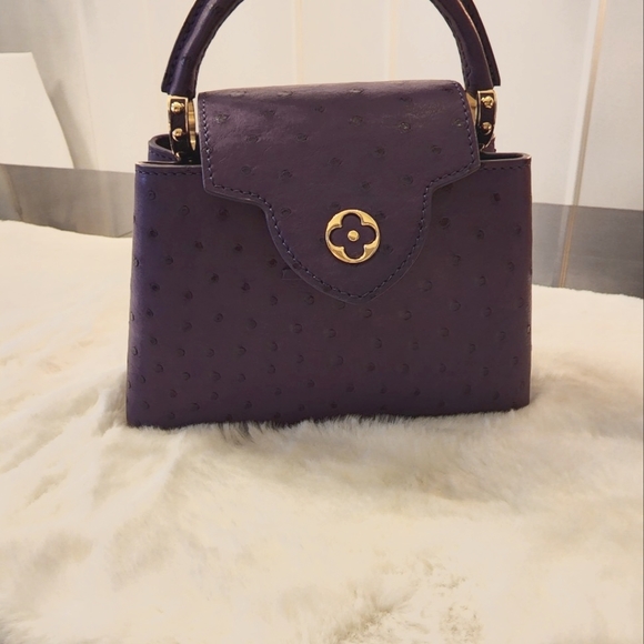 Louis Vuitton Ostrich Capucines Mini Purse - Picture 2 of 7